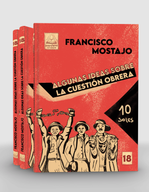 Algunas ideas sobre la cuestión obrera (colección popular)