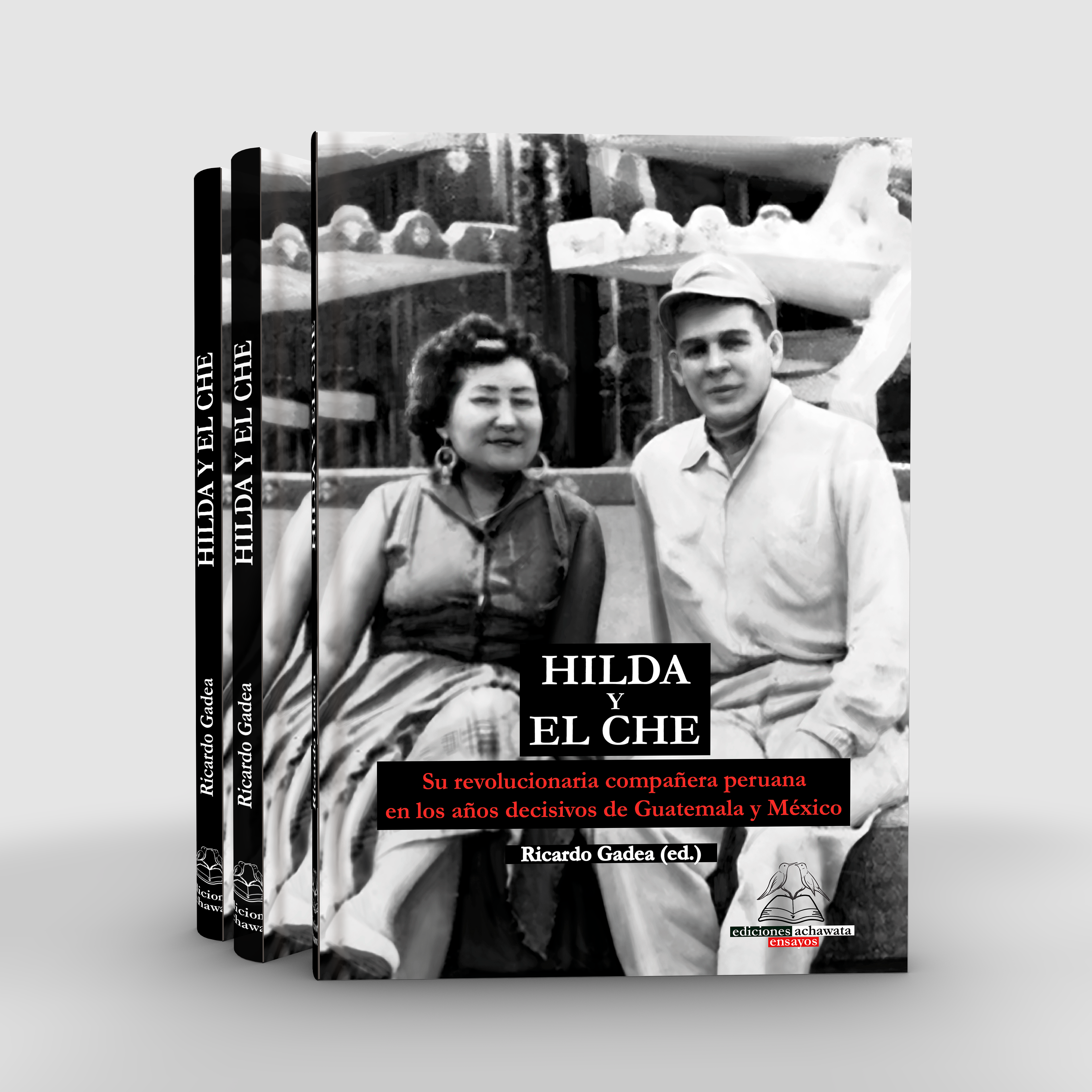 Hilda y el Che. Su revolucionaria compañera peruana en los años decisivos de Guatemala y México